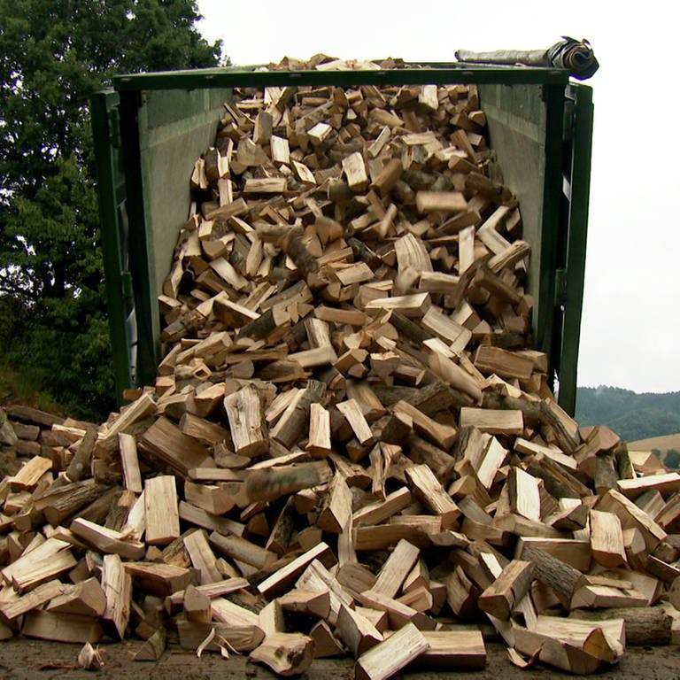 Holzstämme werden von einer Maschine hochgehoben. (Foto: SWR, Annette Rohrer)