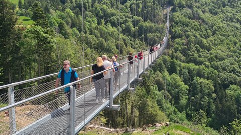 Viele Ausflügler haben am langen Pfingstwochenende die neue Hängebrücke in Todtnauberg getestet. (Foto: SWR, Damián Correa Koufen)