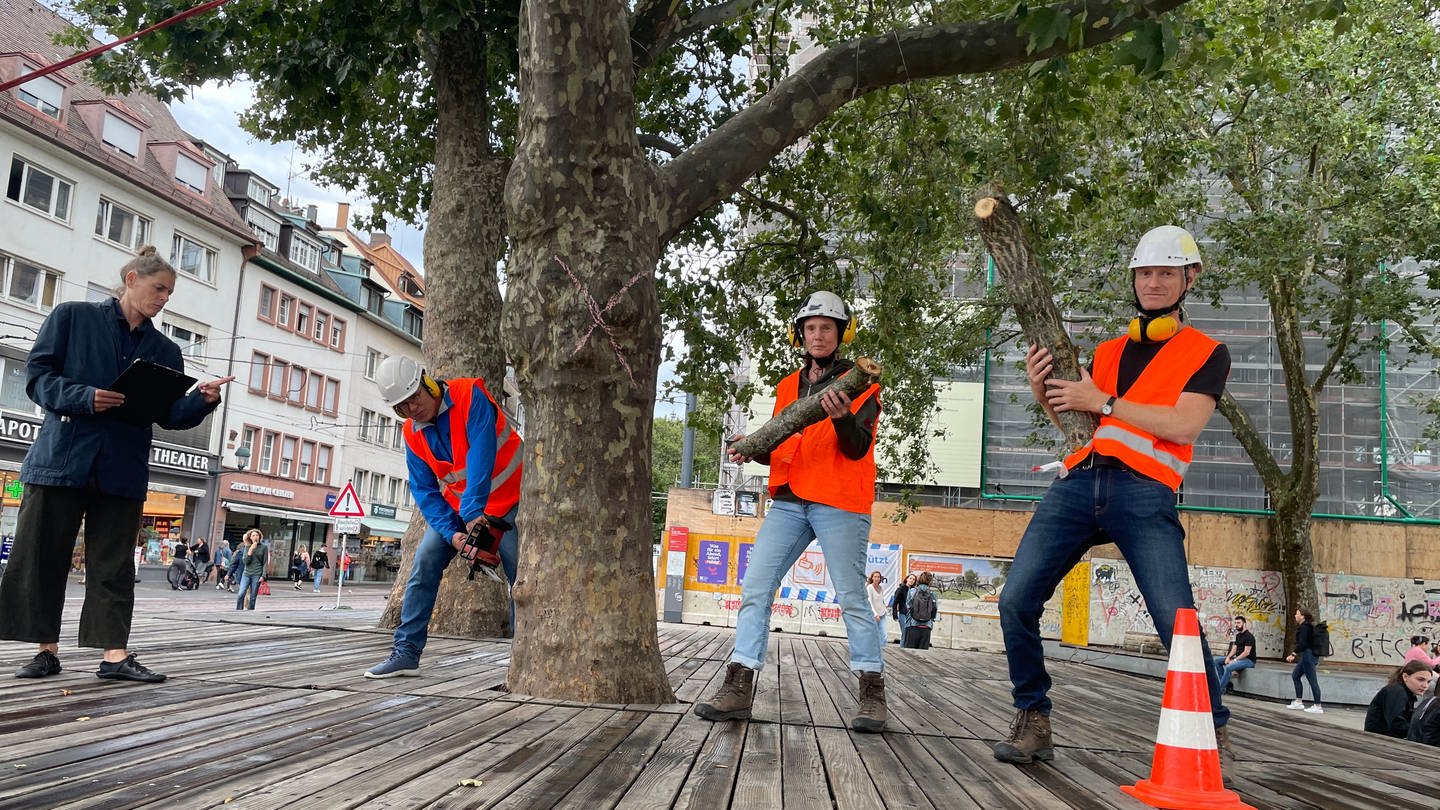 Menschen in Warnweste legen Kettensäge an Baum an (Foto: SWR)