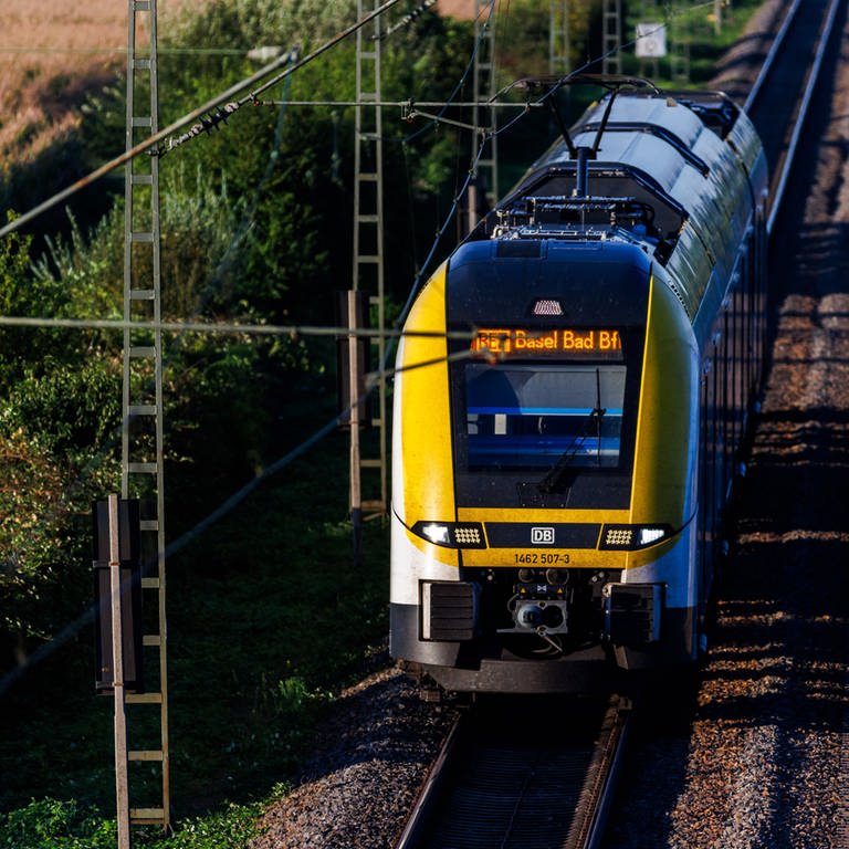 Die Deutsche Bahn präsentiert in einer Studie die Vorteile des Ausbaus der Rheintalbahn.  (Foto: picture-alliance / Reportdienste, Philipp von Ditfurth)