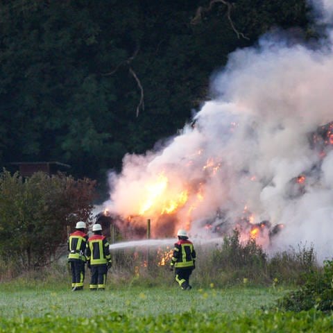 Brennende Heuballen bei Offenburg (Foto: Einsatz-Report24)