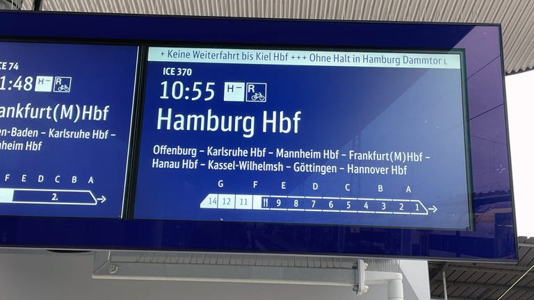 Zuganzeige im Freiburger Hauptbahnhof (Foto: SWR)