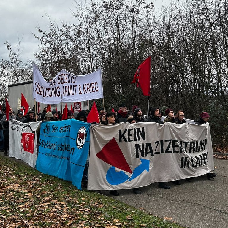Viele Menschen tragen Banner und Plakate. Sie gehen gemeinsam zum AfD-Zentrum in Lahr (Foto: SWR, Paula Zeiler)