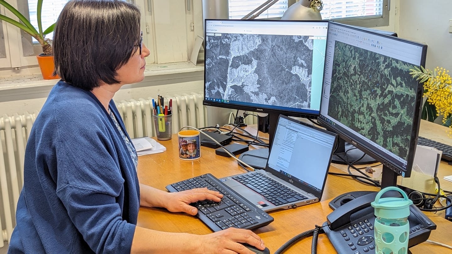 Wissenschaftlerin Catalina Munteanu vergleicht an ihrem Computer ein historisches Satellitenbild mit aktuellen Aufnahmen. (Foto: SWR)