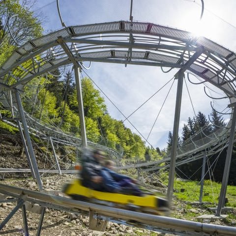 Am Wochenende öffnen in Südbaden wieder viele Freizeitparks, auch der Steinwasenpark in Oberried. (Foto: Steinwasenpark)