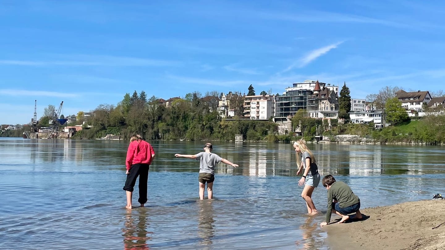 Die ersten Schritte im Rhein in diesem Jahr - für diese Kids in Rheinfelden geht es an diesem heißen April-Wochenende ins Wasser. (Foto: SWR, Wera Engelhardt)