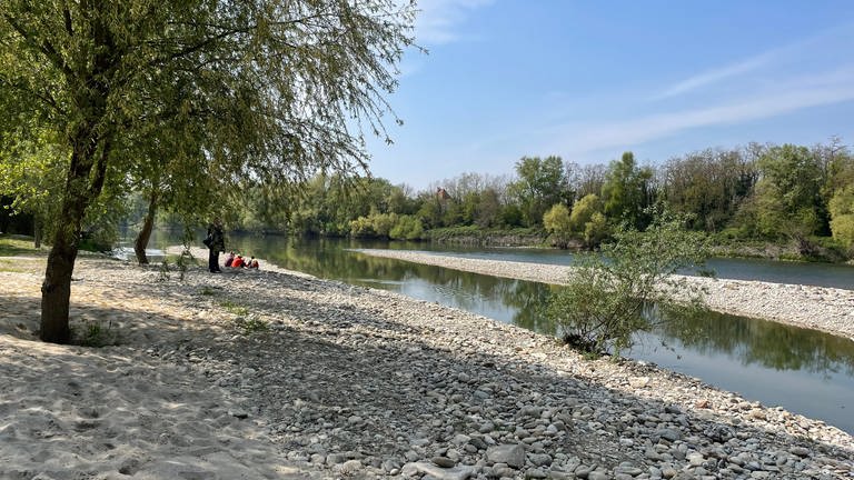 Das Rheinufer auf dem Gelände der Landesgartenschau 2022 in Neuenburg (Foto: SWR, Michael Hertle)