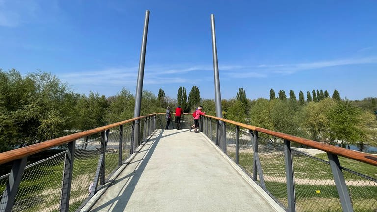Eine Brücke auf der Landesgartenschau 2022 in Neuenburg (Foto: SWR, Lara Schwalb)