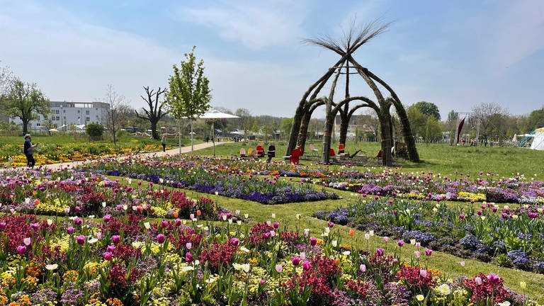 Kunstvoll angelegte Beete auf dem Gelände der Landesgartenschau 2022 in Neuenburg (Foto: SWR, Lara Schwalb)
