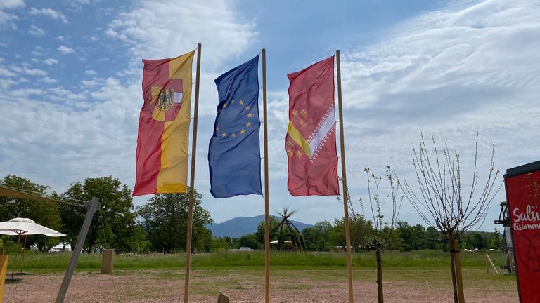 Drei Flaggen auf dem Geländer der Landesgartenschau in Neuenburg am Rhein (Foto: SWR, Jasmin Bergmann)