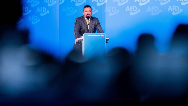 Ehemaliger AfD-Stadtrat in Freiburg Dubravko Mandic zu Bewährungsstrafe verurteilt (Foto: dpa Bildfunk, picture alliance/dpa | Rolf Vennenbernd)