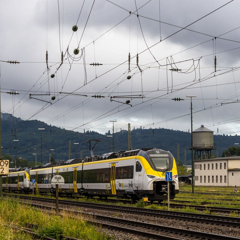 Eine Regionalbahn steht auf einem Gleis nahe dem Freiburger Hauptbahnhof. (Foto: dpa Bildfunk, picture alliance/dpa | Philipp von Ditfurth)