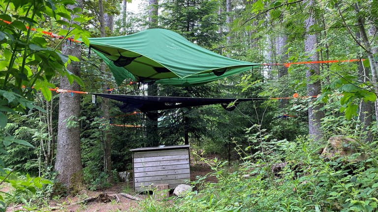 Im Schwarzwaldcamp am Schluchsee kann man in einem Baumzelt in drei Metern Höhe übernachten