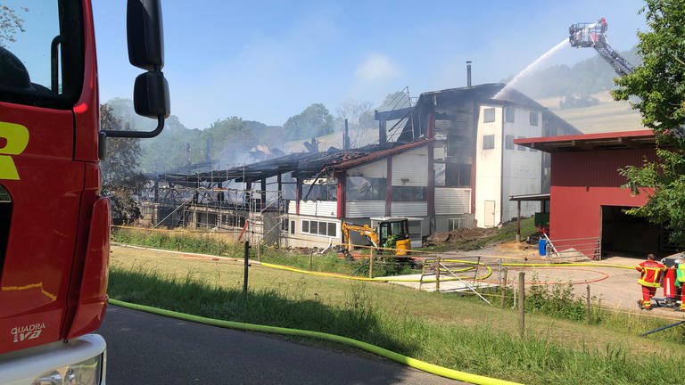 Brand in einer Produktionshalle in Stühlingen (Kreis Waldshut) (Foto: SWR, Petra Jehle)