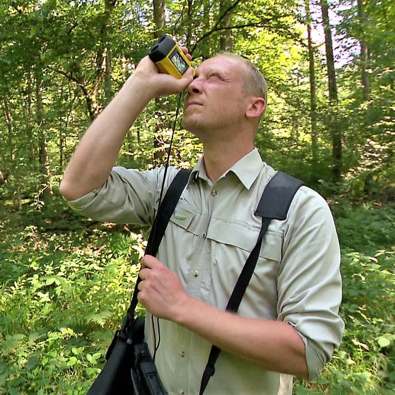 Michel Rönz ist sogenannter Forsteinrichter in der Ortenau. (Foto: SWR)