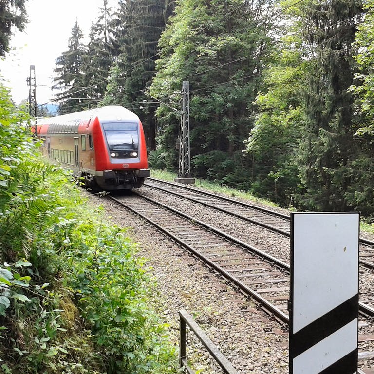 Schwarzwaldbahn (Foto: SWR, Klaus Peter Karger)
