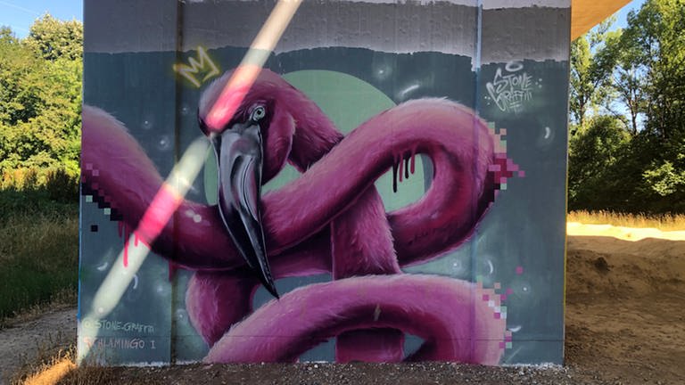 Graffiti Flamingo mit langem Hals (Foto: SWR, Laura Könsler)