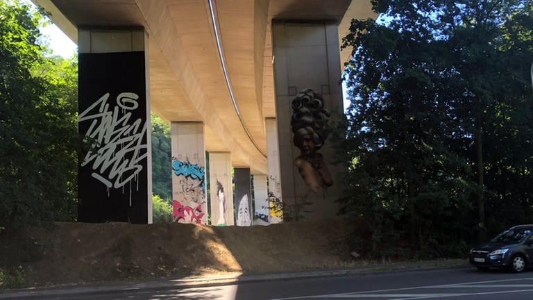 Mehrere großformatige Graffiti unter der Autobahn (Foto: SWR, Laura Könsler)