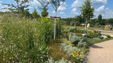 Blumenbeete und Grünanlagen auf der Landesgartenschau.  (Foto: SWR)