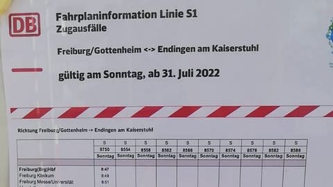 Ein Fahrplan mit Zugstreichungen (Foto: SWR, Paula Zeiler)
