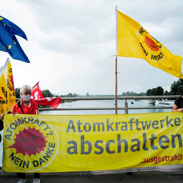 Anti-Atom-Protest gegen das AKW Fessenheim (Foto: dpa Bildfunk, Sebastien Bozon)