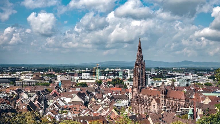 Blick über Freiburg in Richtung Münster (Foto: SWR)