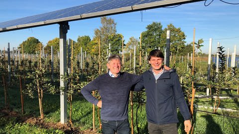 Hansjörg Vollmer und Christoph Vollmer bauen in Oberkirch eine Testanlage für Agri-Photovoltaik auf. (Foto: SWR)