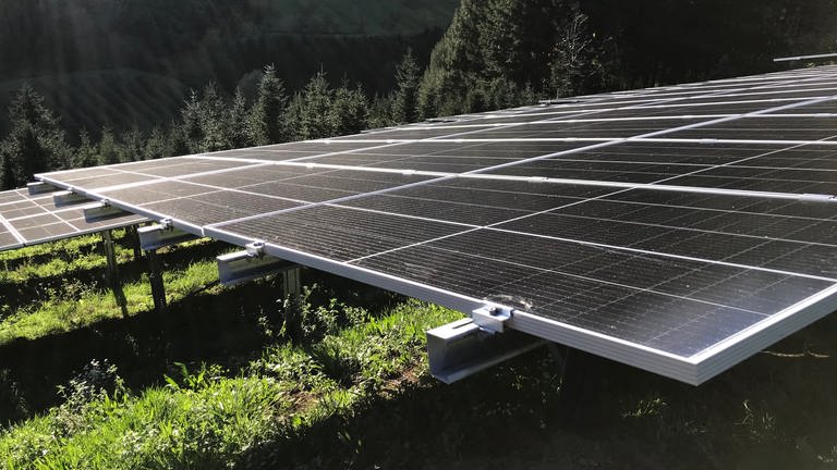 5300 Photovoltaik-Module wurden an einem Hang bei Oberkirch-Ödsbach installiert. (Foto: SWR, Ulf Seefeldt)