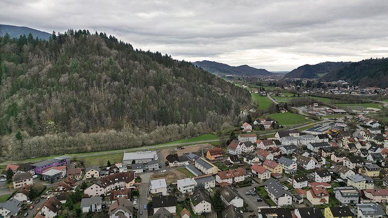 Gemeinde Gutach (Breisgau) will beim Bundes-Förderprojekt Bannwald teilnehmen (Foto: SWR)