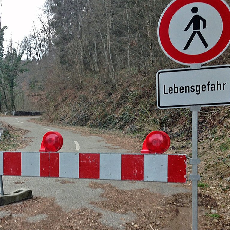 Wegen Felssturzgefahr ist die Albtalstraße im Kreis Waldshut gesperrt. (Foto: SWR, Petra Jehle)