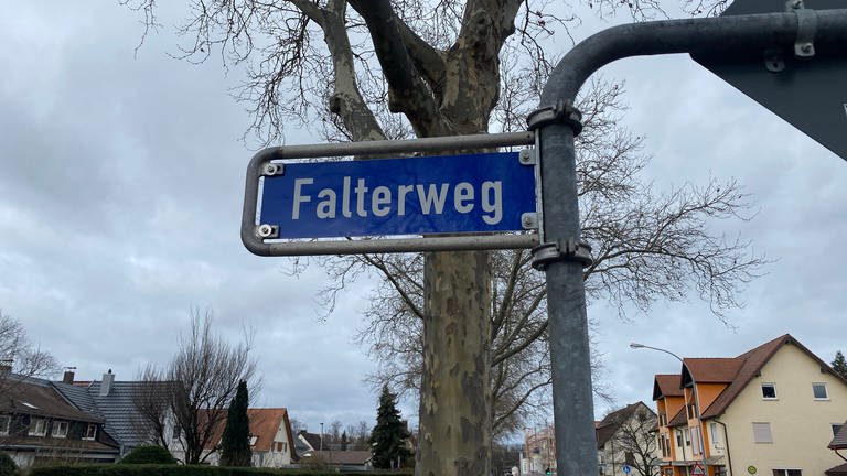 An einem Straßenpfahl hängt ein Straßenschild. Das Schild ist blau, mit weißer Schrift ist darauf "Falterweg" zu lesen. Im Hintergrund ist eine Straße in einer Wohngegend mit Einfamilienhäusern zu sehen.