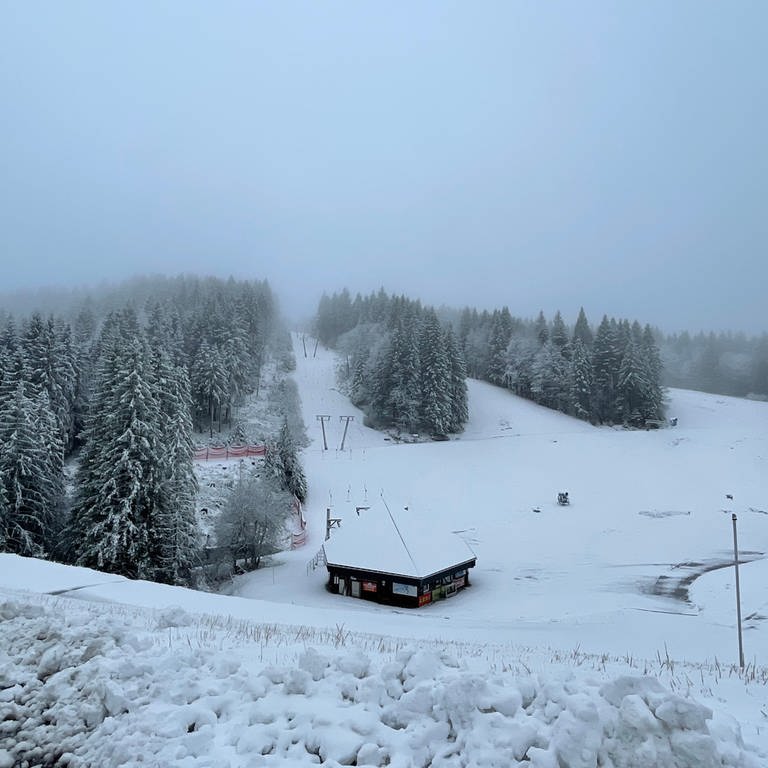 Schnee im Schwarzwald (Foto: SWR, Nadine Zeller)