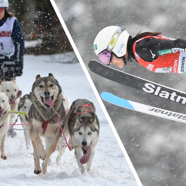 Der Damenweltcup im Skispringen kann in Hinterzarten stattfinden, es gibt genügend Schnee. Bei dem Schlittehunderennen in Todtmoos wird noch entschieden. (Foto: dpa Bildfunk, picture alliance  dpa  Winfried Rothermel / Felix Kästle)