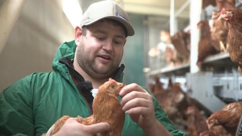 Die Vogelgrippe in Südbaden breitet sich aus. Für die Hühner von Landwirt Jonas Kaufmann in Efringen-Kirchen bedeutet das Stallpflicht. (Foto: SWR)