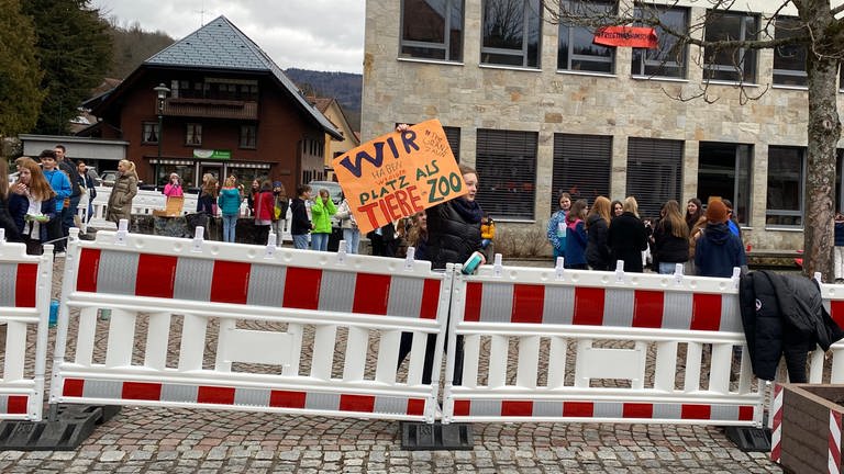 Schönauer Schüler demosntrieren gegen Bauzaun. Auf einem Schild steht: Wir haben weniger Platz als Tiere im Zoo. Das Mädchen, das das Schild hält, steht hinter dem rot-weißen Bauzaun. (Foto: SWR, Katharina Seeburger)