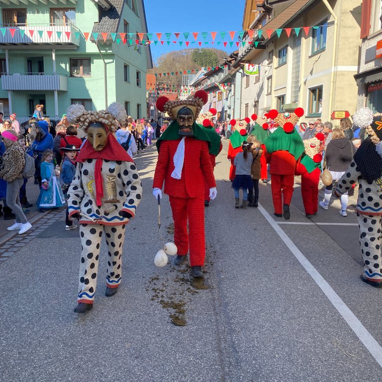 Verkleidete Narren ziehen durch die Altstadt von Elzach. (Foto: SWR, Sebastian Bargon)