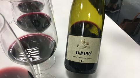 "Tamino"-Weinprobe im Staatlichen Weinbauinstitut Freiburg (Foto: SWR, Gabi Krings)
