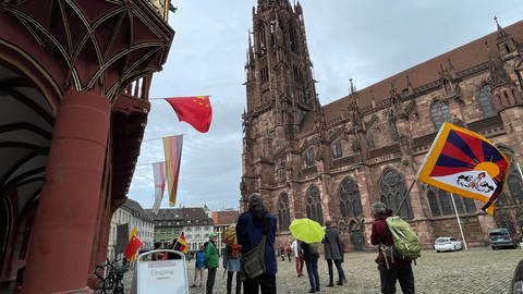 Menschen mit Plakaten und Fahnen, im Hintergrund ist das Freiburger Münster zu sehen. (Foto: SWR, Christoph Ebner)