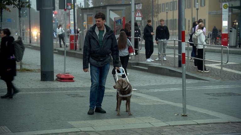 Mensch mit Blindenhund steht an einer Straßenecke