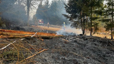 Wald bei Bad Säckingen brennt (Foto: Pressestelle, Feuerwehr Bad Säckingen)