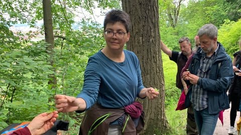 Frau zeigt Wildkräuter im Wald (Foto: SWR)