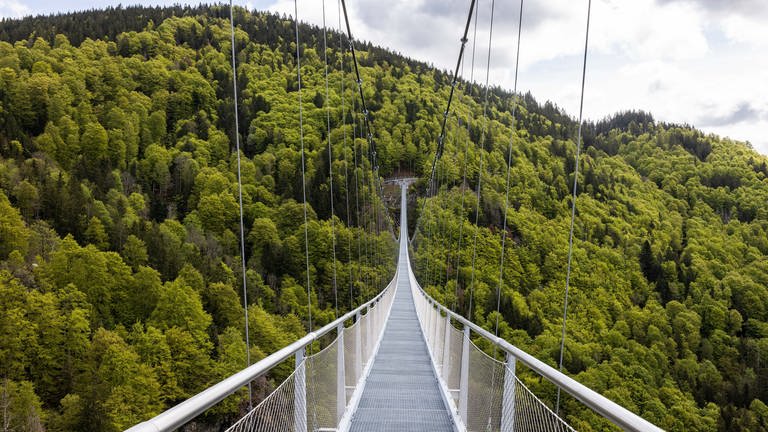 Eine Hängebrücke führt über ein Tal nahe Todtnauberg. (Foto: dpa Bildfunk, picture alliance/dpa | Philipp von Ditfurth)