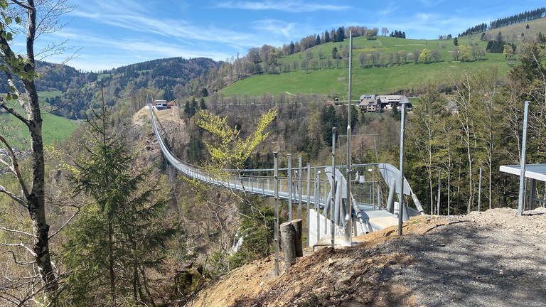 Eine silberene Hängebrücke aus Edelstahl überspannt ein Tal mit Wasserfall. (Foto: SWR, Katharina Seeburger)