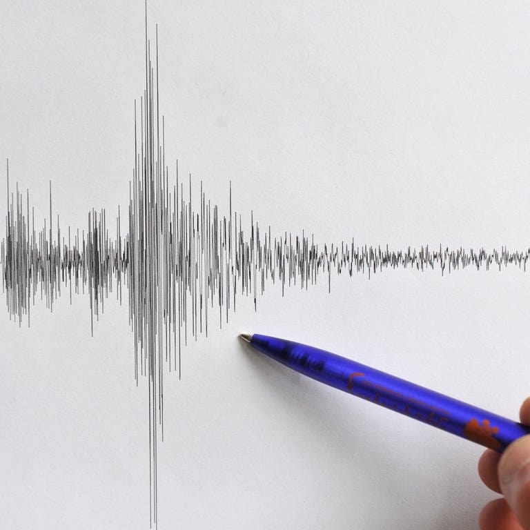 5.05.2009: Das Landesamt für Geologie in Freiburg zeigt ein Seismogramm der Erdbeben-Messstelle in Gaienhofen (Kreis Konstanz) (Foto: dpa Bildfunk, Rolf Haid (Symbolbild))
