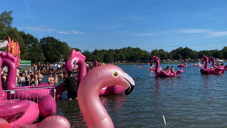 Pinke Flamingo Badetiere auf einem See mit Menschen (Foto: SWR)