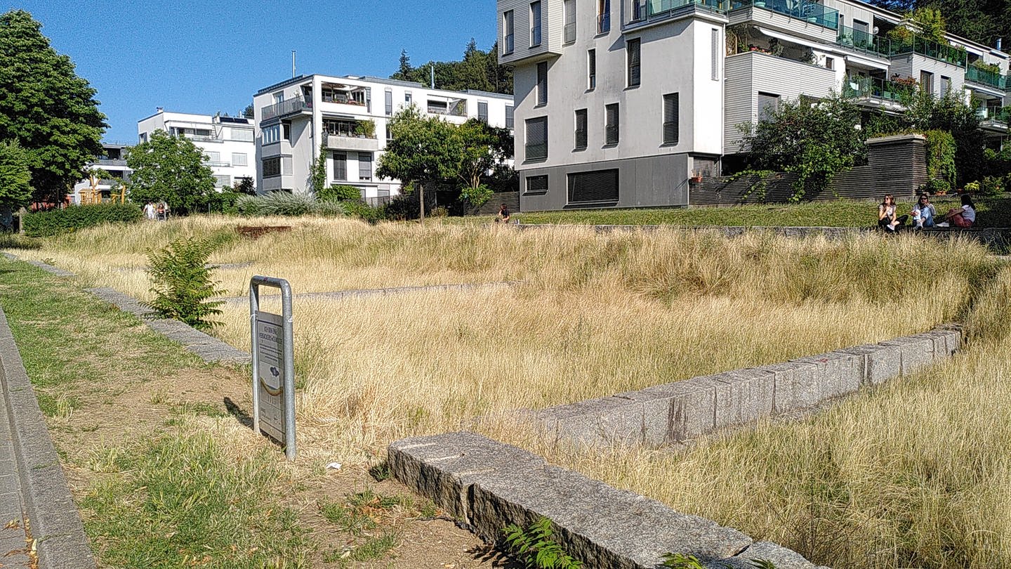 Trockene Grasfläche mit weißen Häusern im Hintergrund (Foto: SWR)