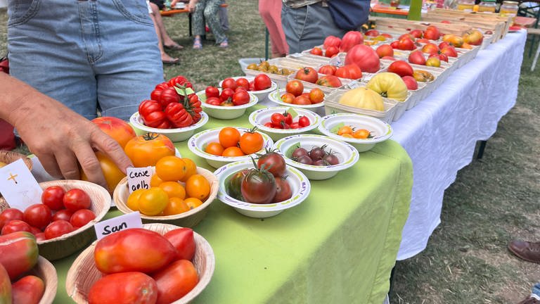Auf einer großen Wiese stehen viele Stände, an denen Tomatensorten vorgestellt oder Gemüsekisten angeboten werden.  (Foto: SWR, Paula Zeiler)