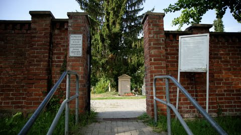 Immer wieder beschweren sich Angehörige über Hundehaufen auf dem Freiburger Hauptfriedhof.