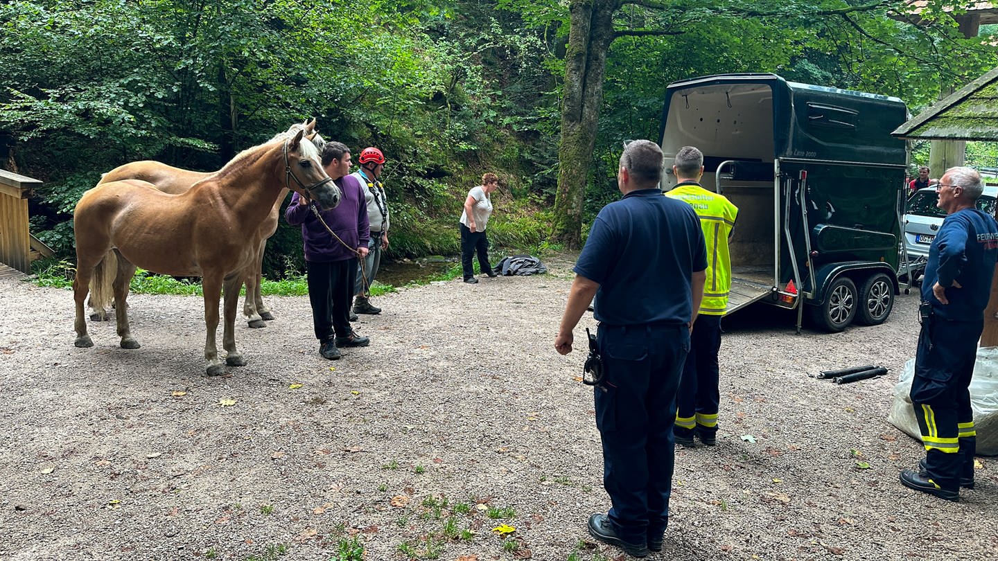 Pferde mit Einsatzkräften stehen vor Pferdeanhänger (Foto: Christina Häußler / EinsatzReport24)