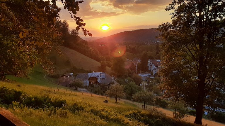 Auf dieser Wiese oberhalb des Kunzenhofs in Littenweiler lässt sich der Sonnenuntergang über Freiburg wunderbar genießen. Der Blick schweift von den Flutlichtmasten des Dreisamstadions bis zum Münsterturm und den Erhebungen des Kaiserstuhls … (Foto: SWR, Jan Lehmann)